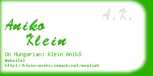 aniko klein business card